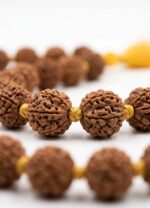 Premium Sacred 10mm bead Rudraksha Mala – 108 Beads - Image 4