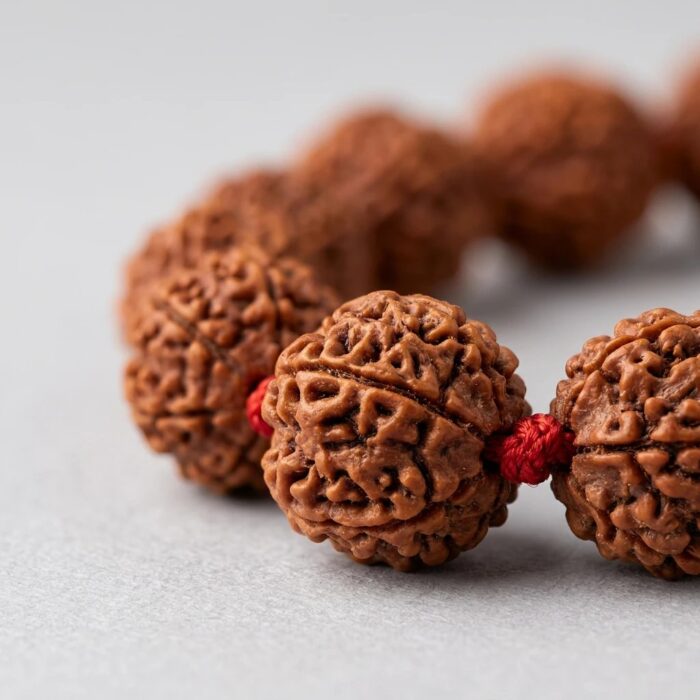 Premium Sacred 15mm bead Rudraksha Mala  – 54 Beads - Image 5
