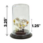 999 Pure silver Ganesha Idol - Taklu | Ganpati Car Dashboard Statue - Image 8