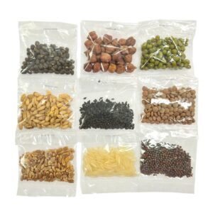 NavaDhanya Grain Set