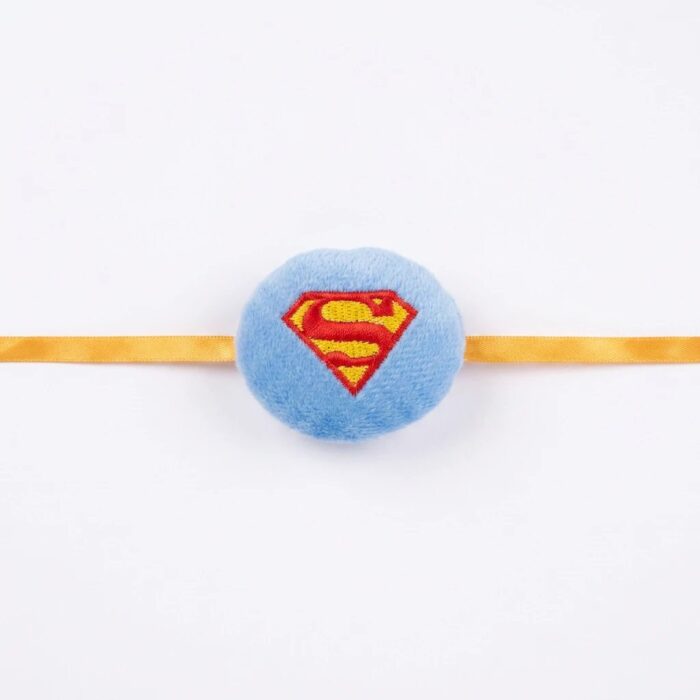 Hero Rakhi for Kids