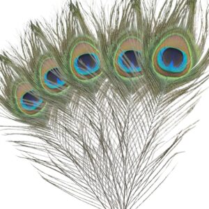 Bunch of 5 natural peacock feather for sale in Canada