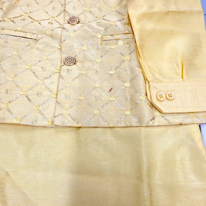 Close up of the Buttoned Cuff, Embroidered Jacket, and Kurta