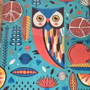 Magnificent Colorful Owl on a teal background
